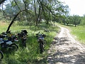 IMG_2254