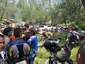 IMG_2258