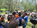IMG_2259