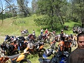 IMG_2261