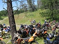 IMG_2262
