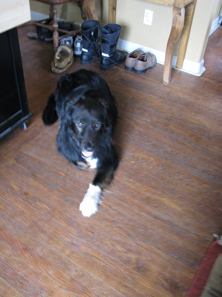IMG_2275.JPG - Kinda blurry.