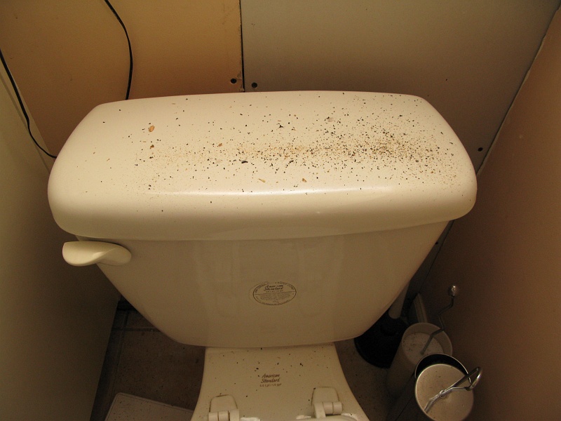 IMG_2294.JPG - Just a bit of dirt coming through to the downstairs bath that I still use during all this.