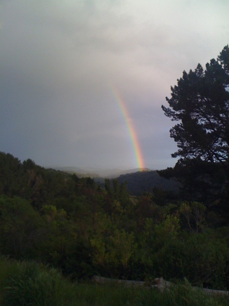 IMG_0243.JPG - Never rained on us.