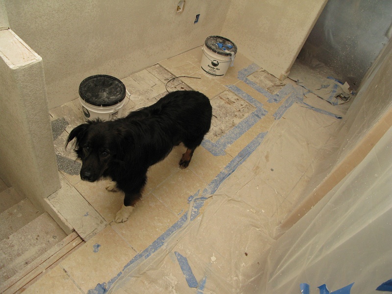 IMG_2382.JPG - Schaefer inspects the work.