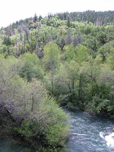 IMG_2454.JPG