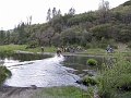 IMG_2448