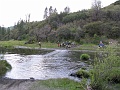 IMG_2449