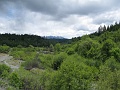 IMG_2451