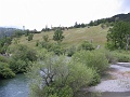 IMG_2453