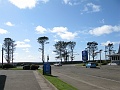 IMG_2466