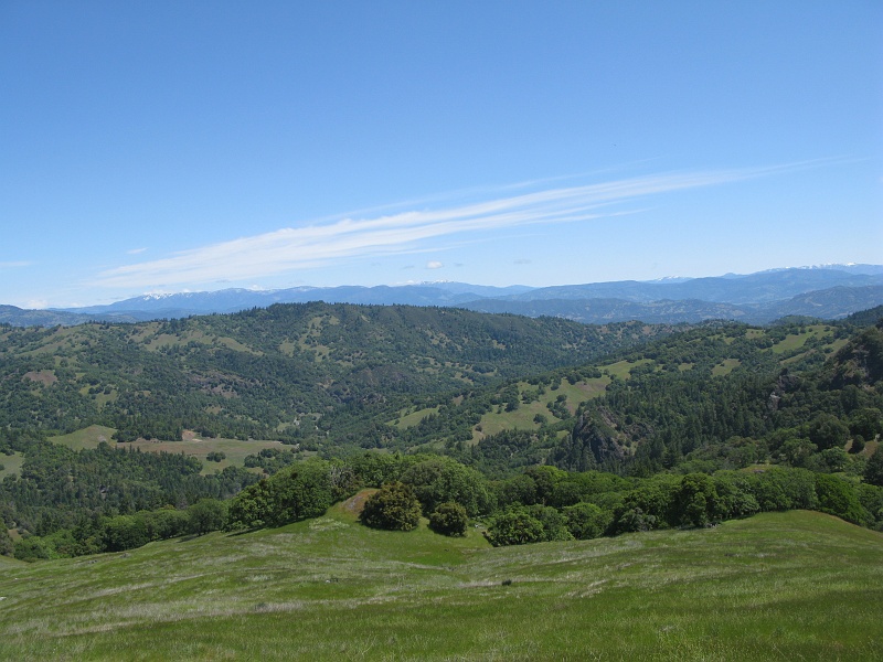 IMG_2475.JPG