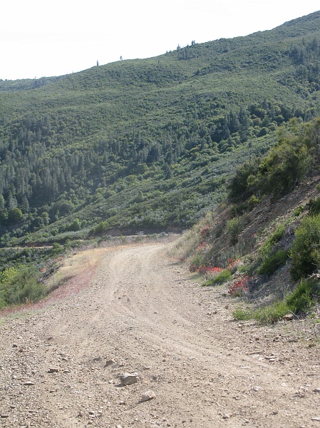 IMG_2508.JPG - Came up this hill at a good clip until it just died like it was out of gas.