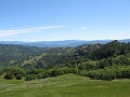 IMG_2474