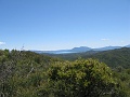 IMG_2481