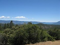 IMG_2486