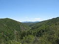 IMG_2489