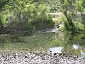 IMG_2502