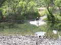 IMG_2503