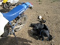 IMG_2509