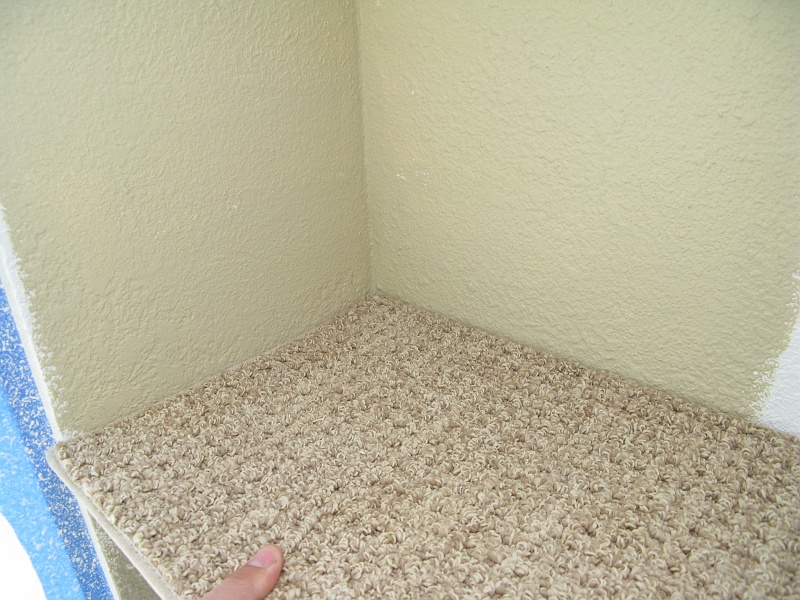 IMG_2530.JPG - How does the carpet go with the paint samples?