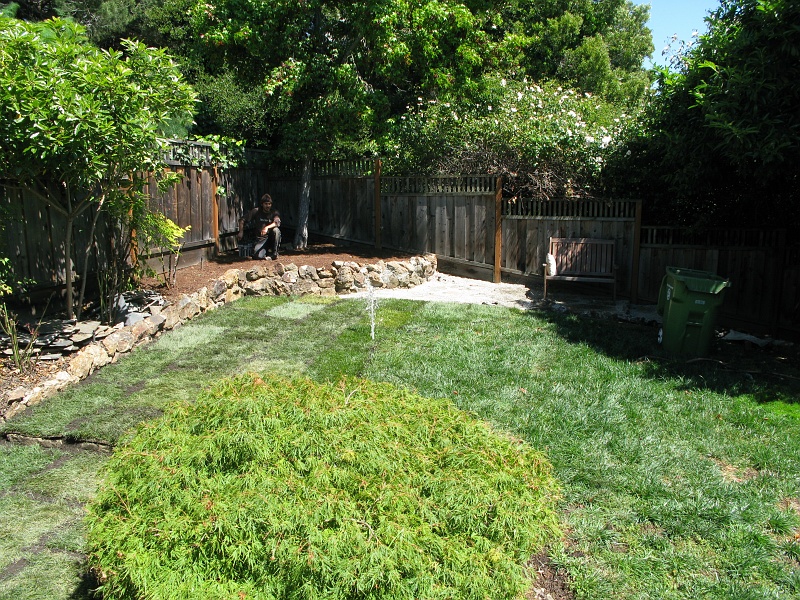 IMG_2535.JPG - Spot the geyser. That's one way of flushing the crud out of the lines. Remove the sprinkler head and turn the water on full.
