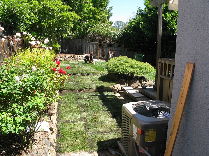 IMG_2536.JPG - We may put some pavers there later. Maybe it will just stay grass.
