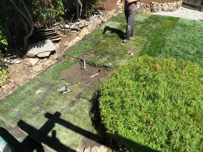IMG_2547.JPG - Supply pipe got cracked during the scaping work.  All fixed with a bit of glue and a union.