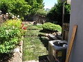 IMG_2536