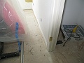 IMG_2552