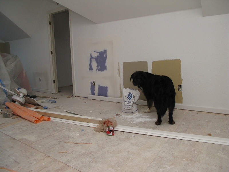 IMG_2579.JPG - Note the patch areas on the wall where the plumbness issue is being fixed.