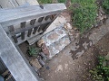 IMG_2565