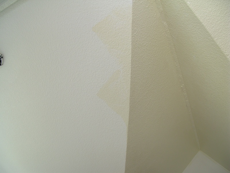 IMG_2592.JPG - Sometimes it seems barely different from the primer, sometimes it seems implausibly dark for a "white."