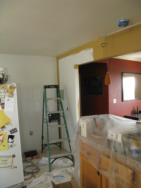 IMG_2597.JPG - Paint doesn't look like it will match while wet.