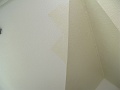 IMG_2592