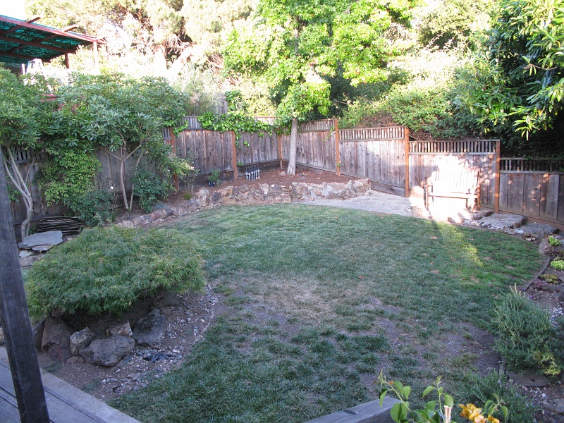 IMG_2702.JPG - The new grass is established enough to cut.