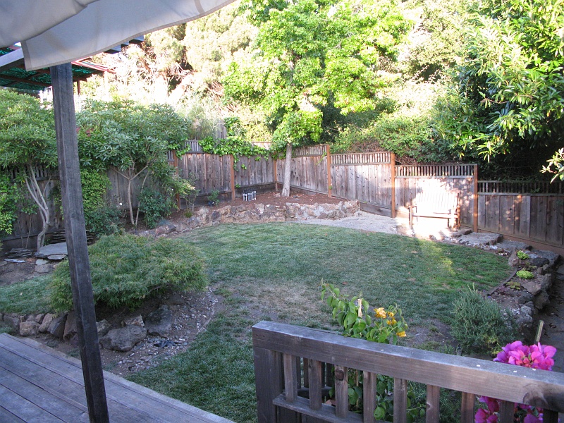 IMG_2703.JPG - Starting to come together.