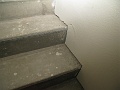 IMG_2700