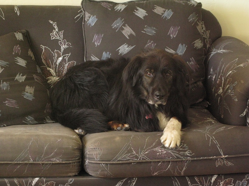 IMG_2843.JPG - Comfy.