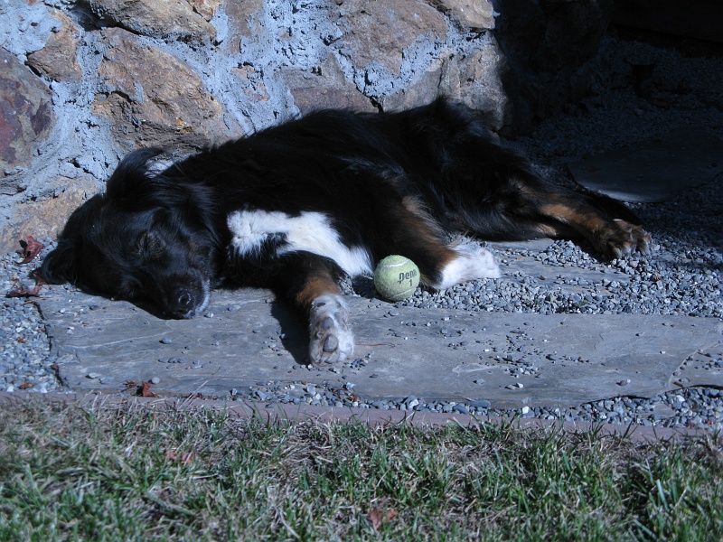 IMG_2876.JPG - Sprawl with a ball. Never gets old.