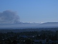 IMG_2959