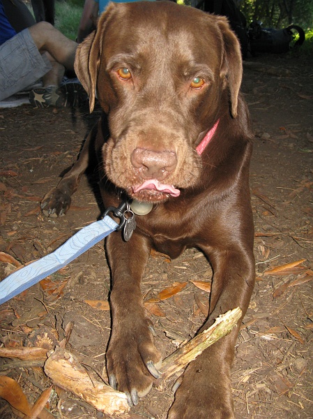 IMG_3020.JPG - Tongue tricks.