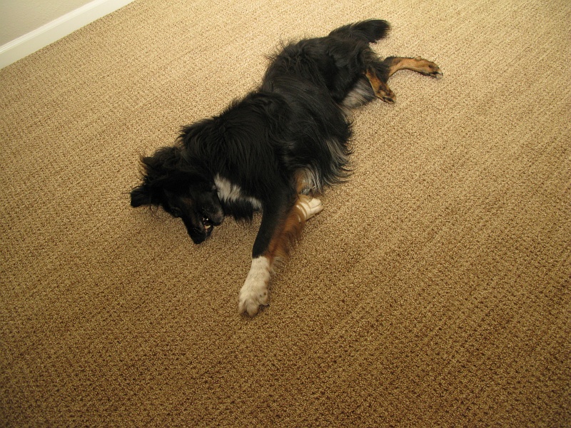 IMG_3082.JPG