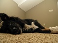 IMG_3085
