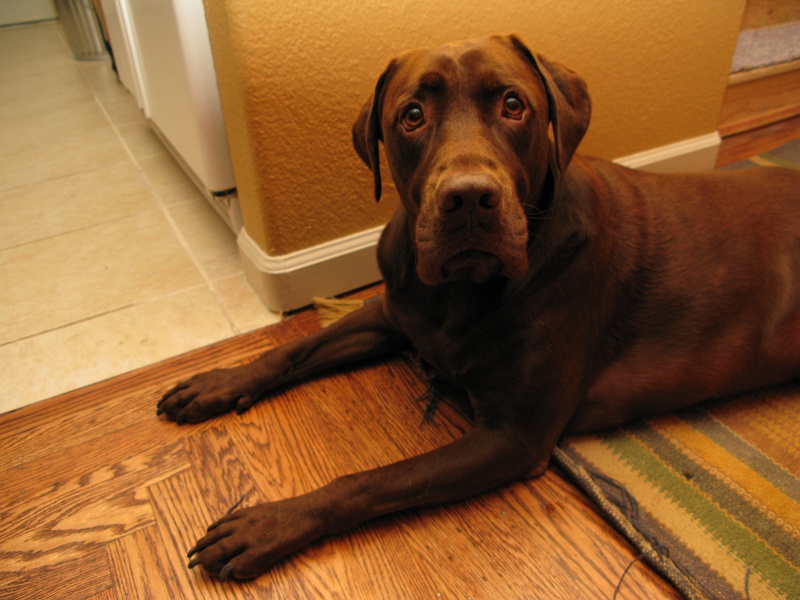 IMG_3088.JPG - The "where's my momma" face.