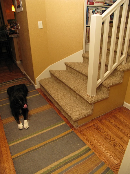 IMG_3101.JPG - Carpet done too. Not so sure about the color of the carpet together with the color of the stairwell walls...