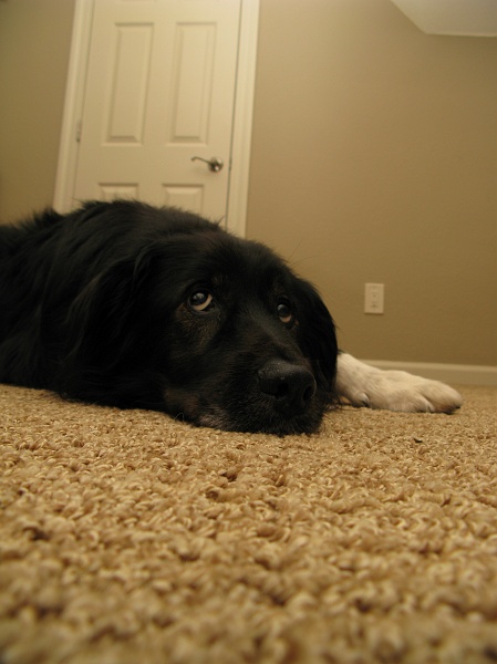 IMG_3111.JPG - Still cute.