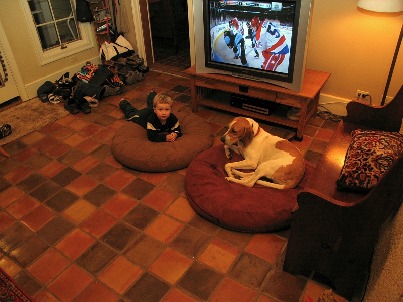 IMG_3229.JPG - Timmy and Rambles. Comfy. Chilling.