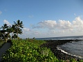 IMG_3366
