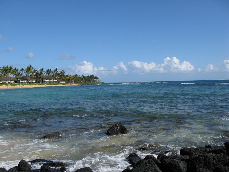 IMG_3375.JPG